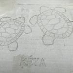 Bde Maka Ska Keya-Turtle Sidewalk Stamp